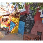 95 the fish does not know