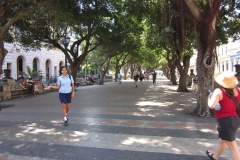 1_40a-paseo-de-marti-prado